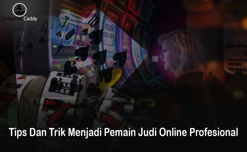 Judi Online - Tips Dan Trik Menjadi Pemain Judi Online Profesional